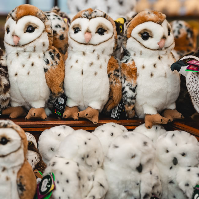 Gift Shops