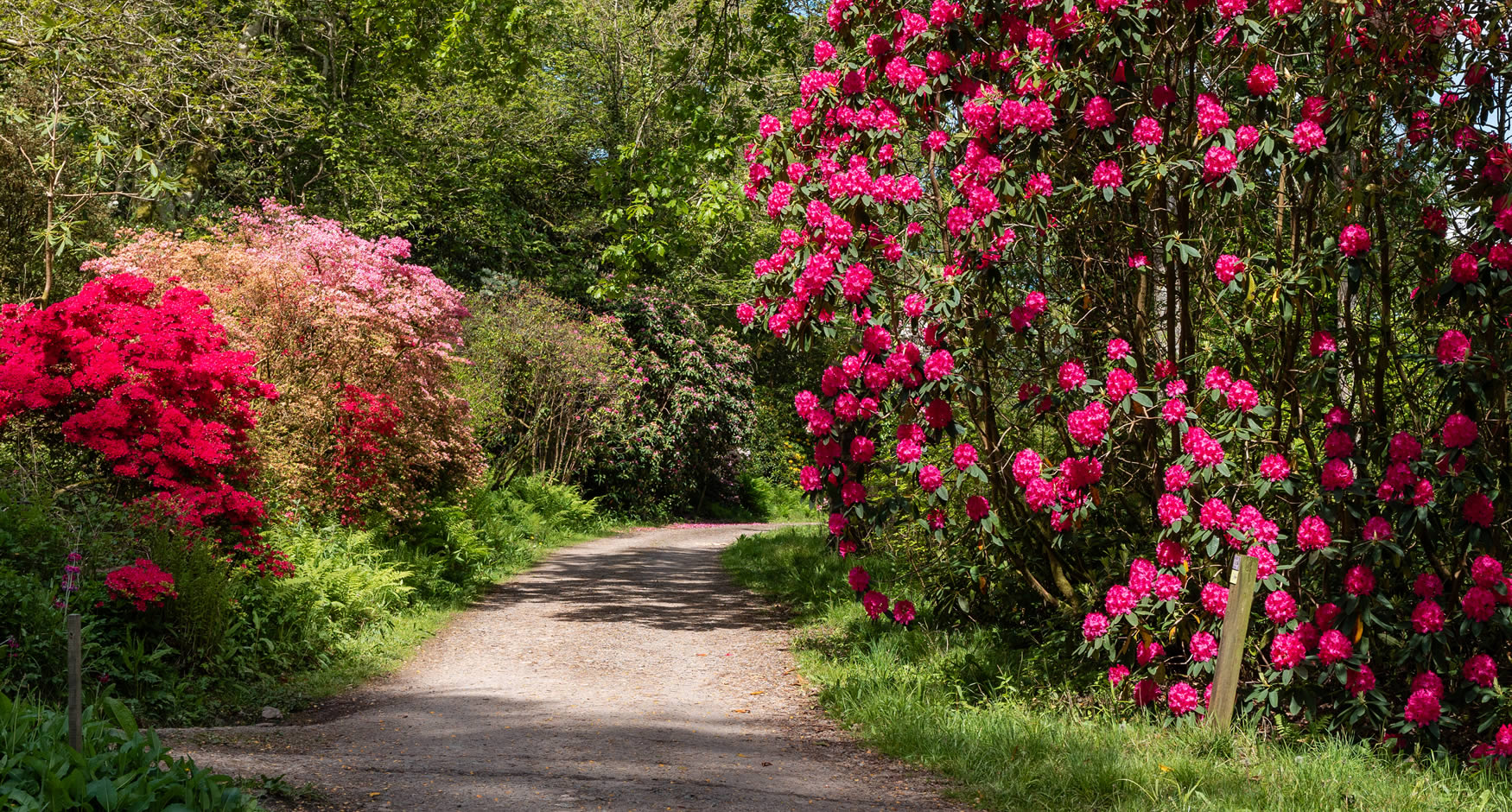 The historic haunted castle, still a lived-in family home